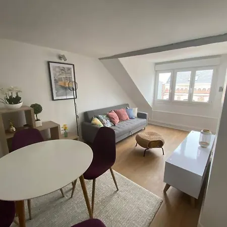 Apartment Emeraude T Avec Salle De Sport Amiens