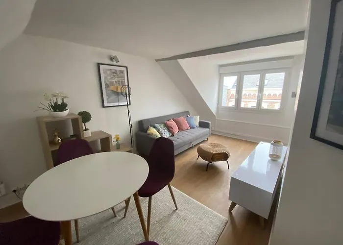 Appartement Emeraude T Avec Salle De Sport Amiens